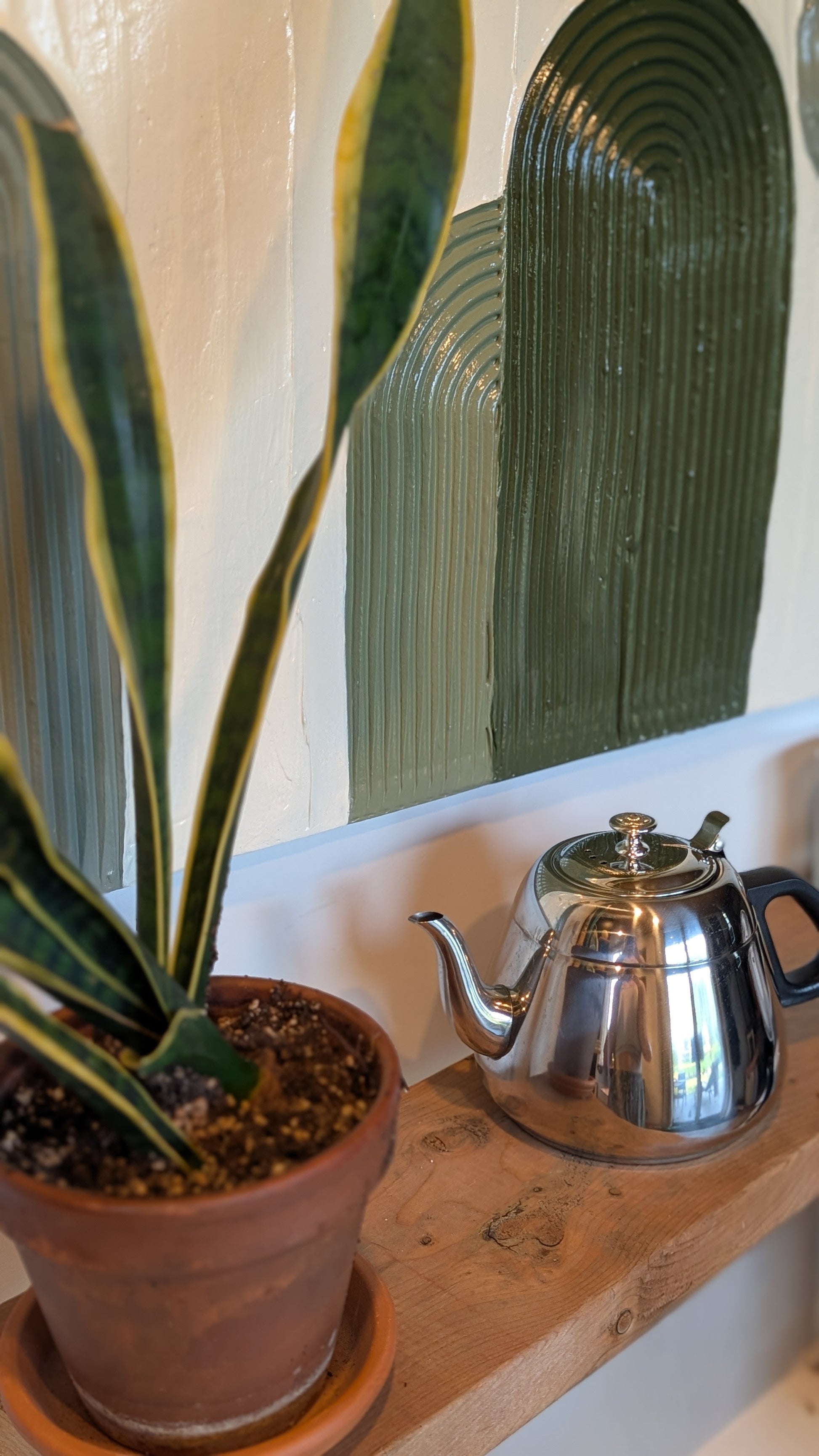 Stainless Steel Kettle