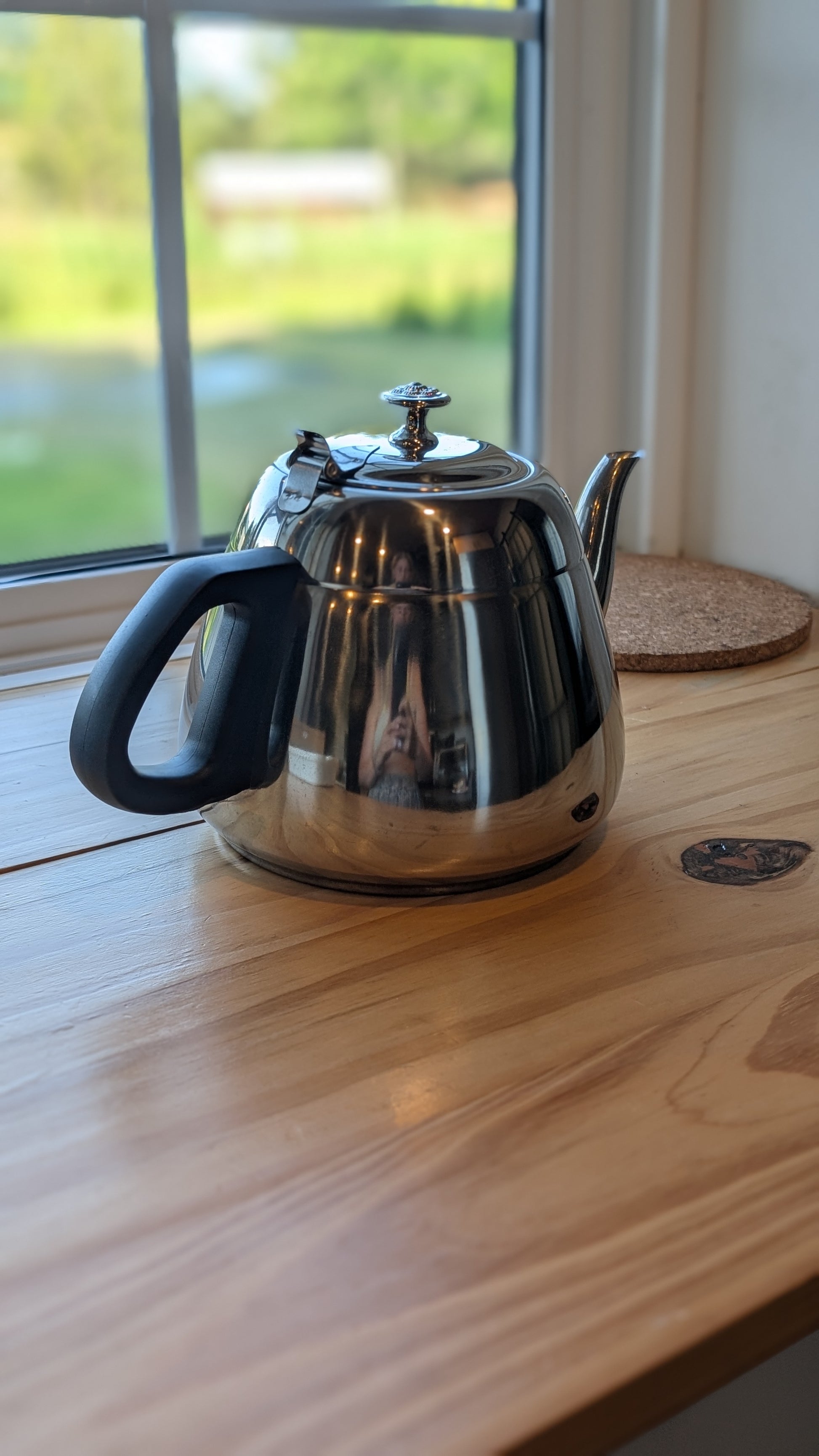 Stainless Steel Kettle